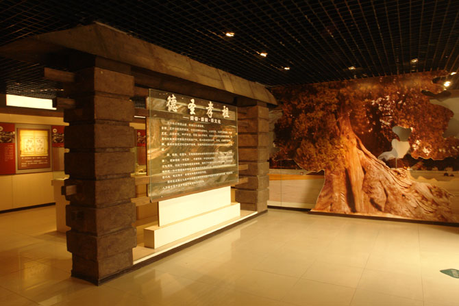 虞舜文化专题展览