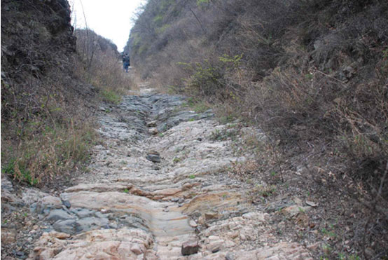 虞坂行